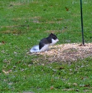 Meet your Posher, Jeff